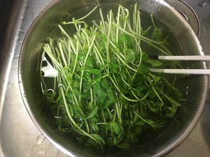 豆苗の中華風ニンニク炒めのレシピ、その1