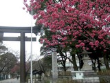 ����������θ�������2010/03/15