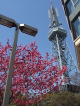 ���������������21��2011/03/19