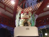 s-DSCF0311