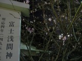 s-DSCF0321