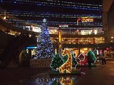 明日なる