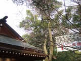 �͵���2011/01/01