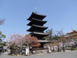 ������2011/04/06