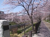 ������2011/04/01
