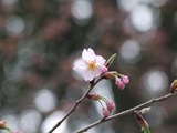 ��ߺ���2011/03/19���θ�����