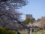 �����20110406