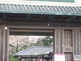 名古屋城正門