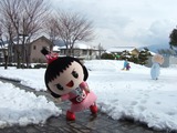 ゴウちゃん