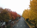 s-DSCF0019