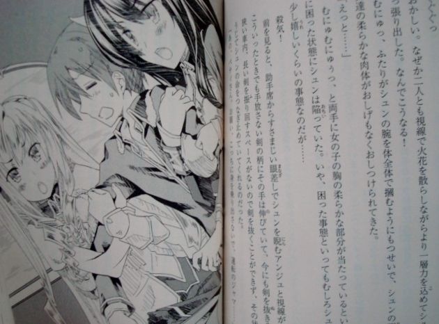 Page of Light Novel