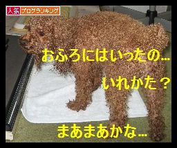 ヌードのプリン・・・