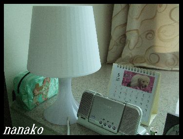 ライトをゲット♪