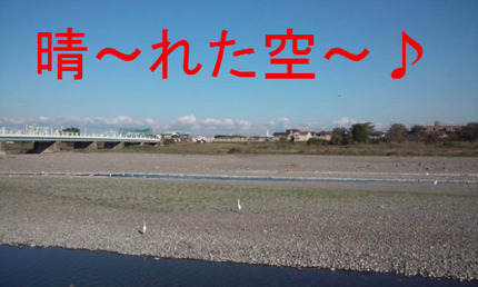 BlogPaint