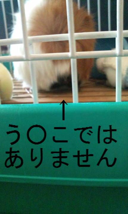 BlogPaint