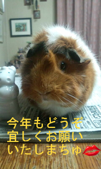 BlogPaint