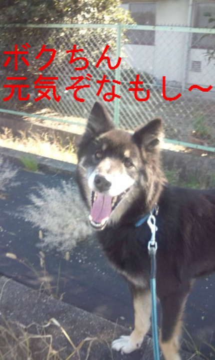 BlogPaint