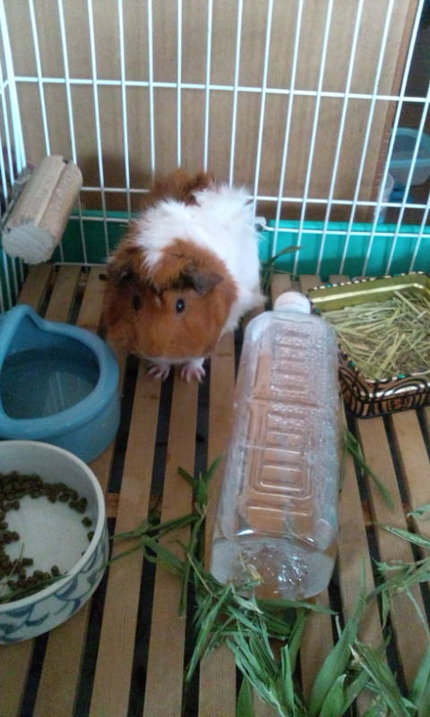 20110708154632