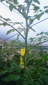 07af965f.jpg