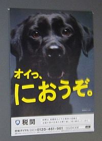 inu1