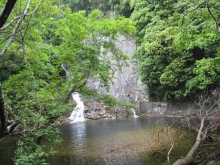 dam4