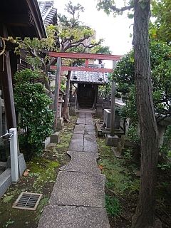 sumou1