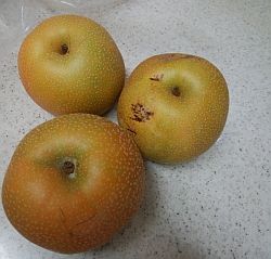 hamanasi3