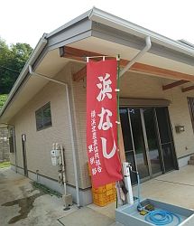 hamanasi1