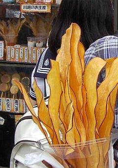 kawagoe5