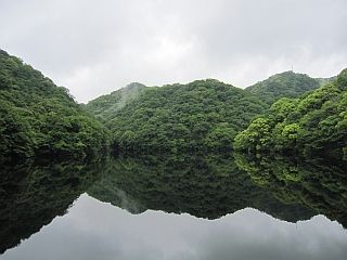 dam3