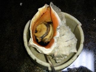 nishigai