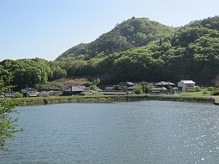 tameike2