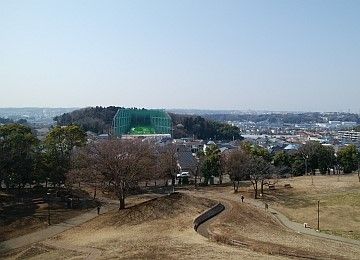 kawawa1