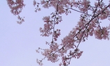 b065fa4c.jpg
