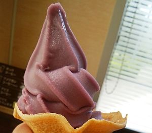 kyohosoft