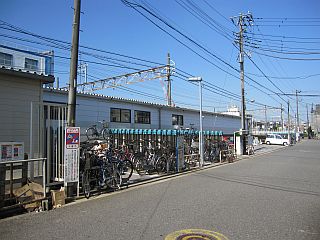 midorida2