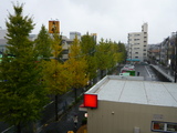 P1000295
