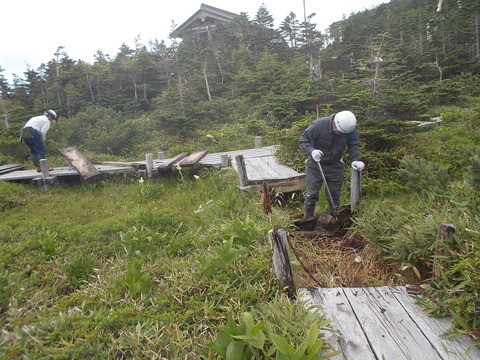 DSCN0785