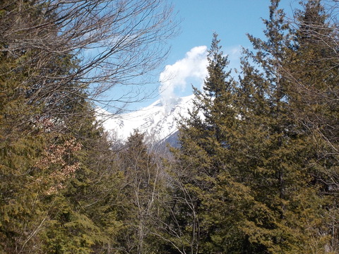 DSCN8612