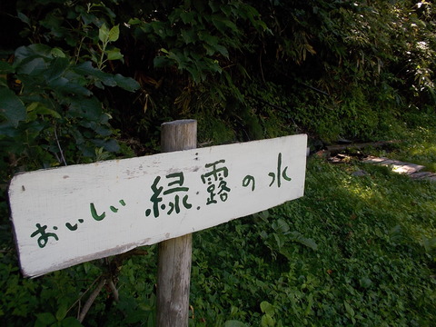 DSCN0939