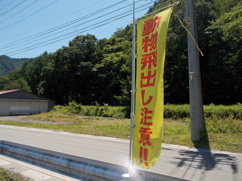 DSCN0754