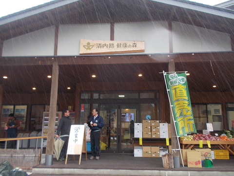 DSCN5938