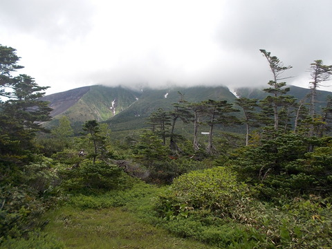 DSCN0626