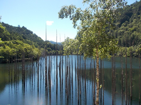 DSCN0920