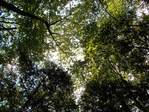 DSCN2319