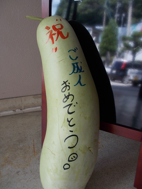 DSCN2114