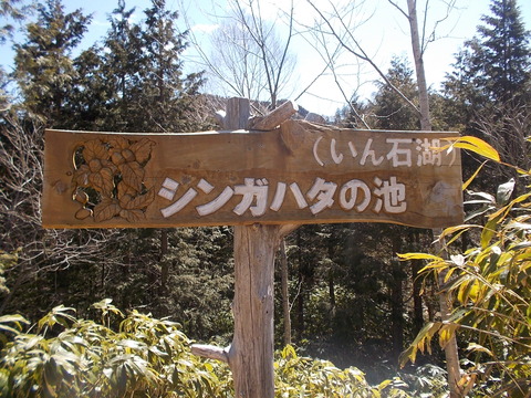 DSCN8590
