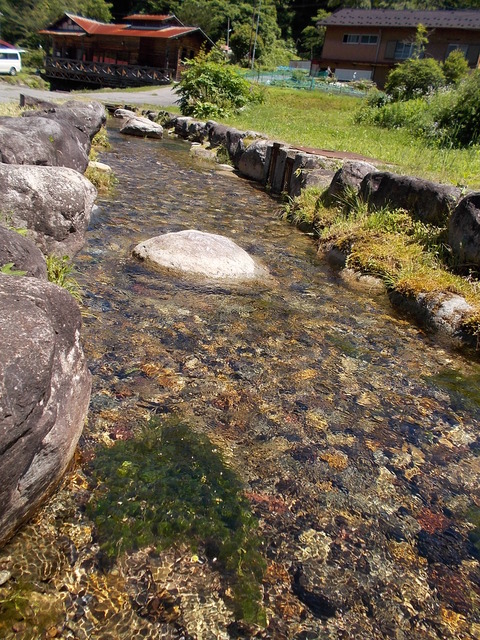 DSCN0963