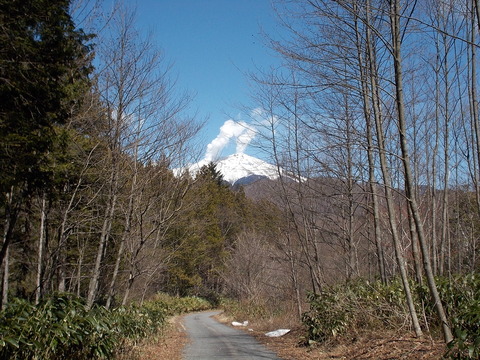 DSCN8626