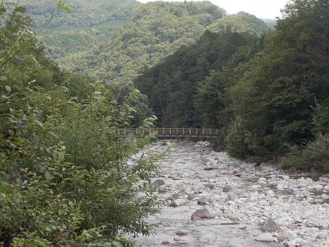 DSCN2373
